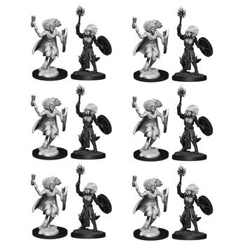6x 2pc Dungeons & Dragons Nolzur's Marvelous Unpainted Miniatures Changeling Cleric Male
