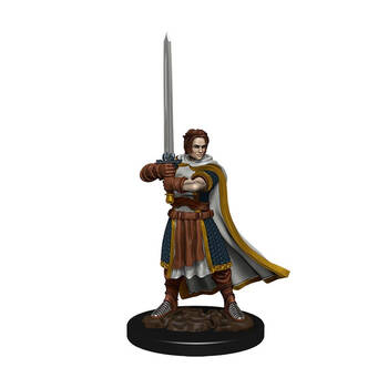 Dungeons & Dragons Premium Human Fighter Male Miniature Figure 14y+