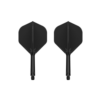 2PK Target K-Flex Moulded Lightweight Integrated Flight & Shaft No.2 Darts