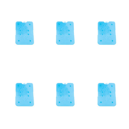 6PK Companion 150ml Ice Travel Cooler Brick Slim Small 16x12cm - Blue