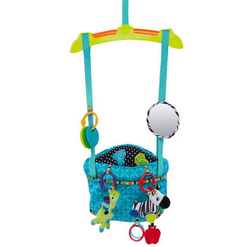 Bright Starts Bounce n Spring Deluxe Door Jumper