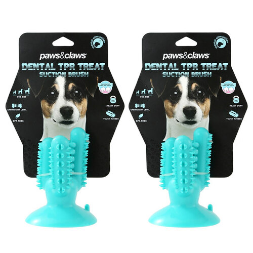 2PK Paws & Claws 13cm Cactus Suction Dental Treat Toy - Teal