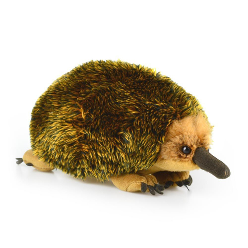 Korimco Souvenir 30cm Echidna Eddie Stuffed Animal Plush Toy - Brown