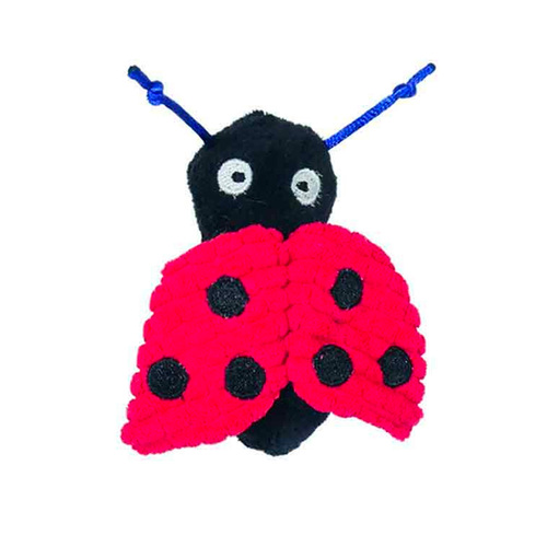 Rosewood Pet Jolly Moggy Catnip Tune Chaser Ladybird