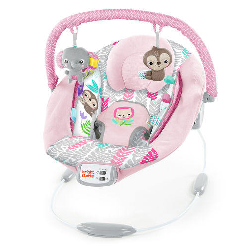 Bright Starts Rosy Vines Cradling Bouncer