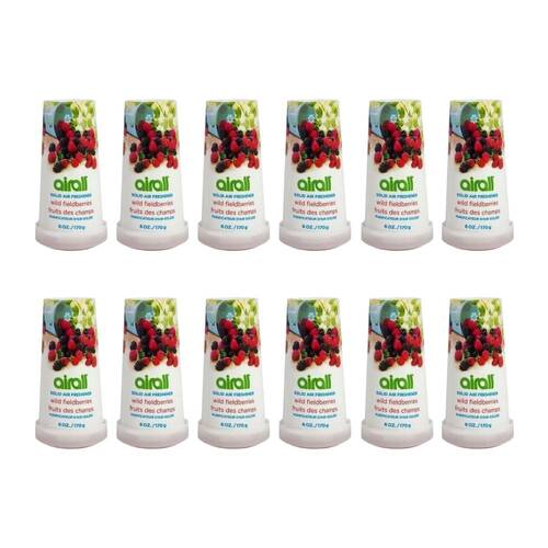 12PK Airall 170g Solid Air Freshener Wild Fieldberries Home Room Fragrance