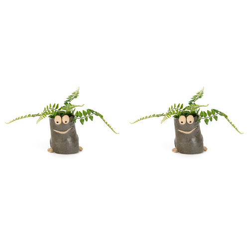 2x Pot Critter 15.5cm Planter Outdoor Decor Large - Assorted