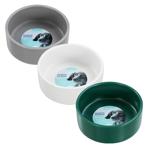 3x Paws & Claws 13cm/380ml Ceramic Pet Bowl - Assorted White/Green/Grey