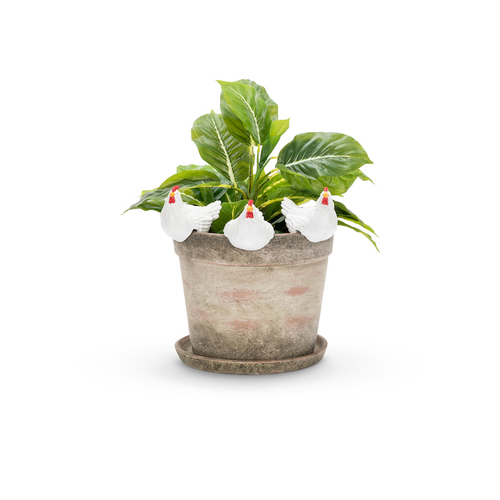 3x Chicken 10cm Pot/Planter Sitter Ornament Decor Large - White Assorted