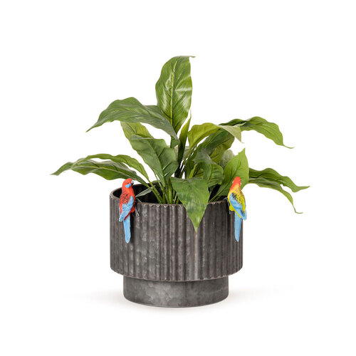 4x Crimson/Eastern Rosella 11cm Pot Planter Sitter Garden Decor - Assorted
