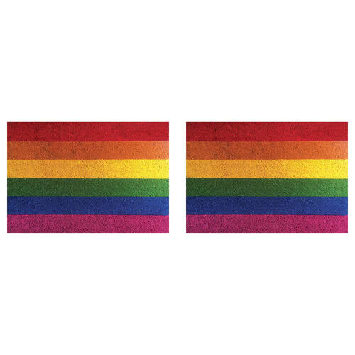 2PK Solemate PVC Backed Coconut Coir Rainbow Doormat 45x75cm