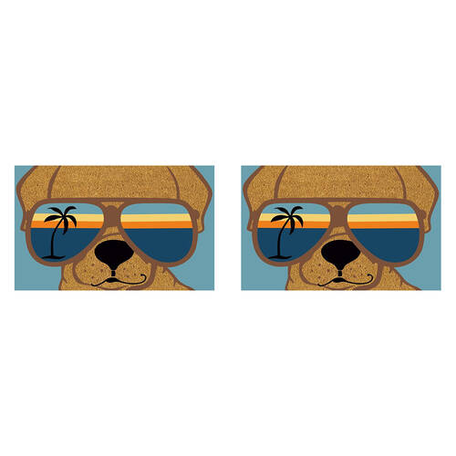 2PK Solemate PVC Backed Coconut Coir Sunnies Doormat 45x75cm