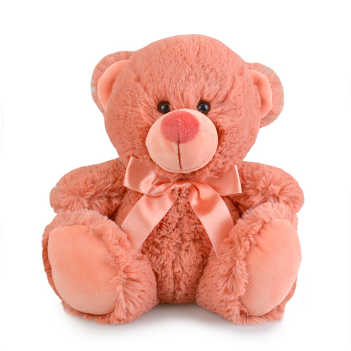 My Buddy Bear 23cm Bears Soft Plush Toy Kids 3y+ Salmon