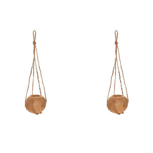 2x Coconut Fibre Ball Planter Outdoor Yard/Patio Garden Decor w/ Jute Hanger