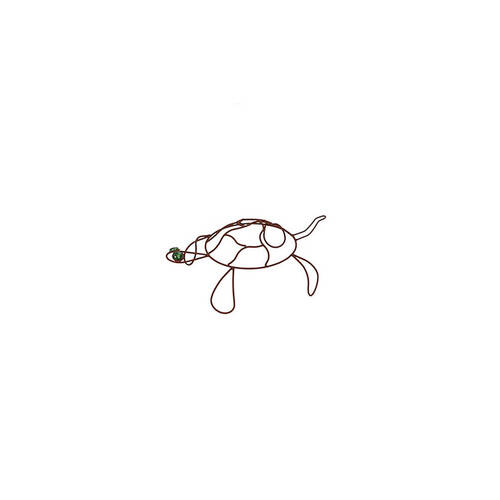 Turtle Wire Small Home/Garden/Patio Planter Decor 50x35cm