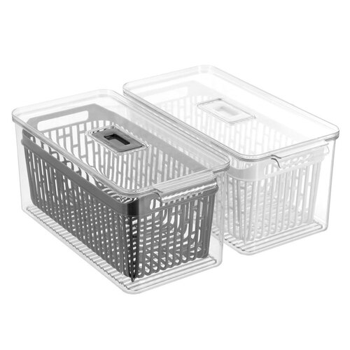 2PK Boxsweden Crystal 4L/32.5cm Vegetable Storer - Assorted