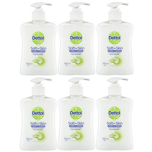 6pc Dettol 250ml Liquid Hand Wash Aloe Vera/Vitamin E w/ Pump