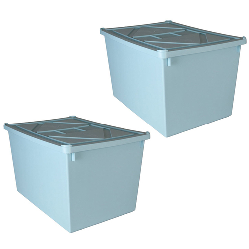 2PK Boxsweden 42L/52cm Tetra Storage Box w/ Lid - Assorted