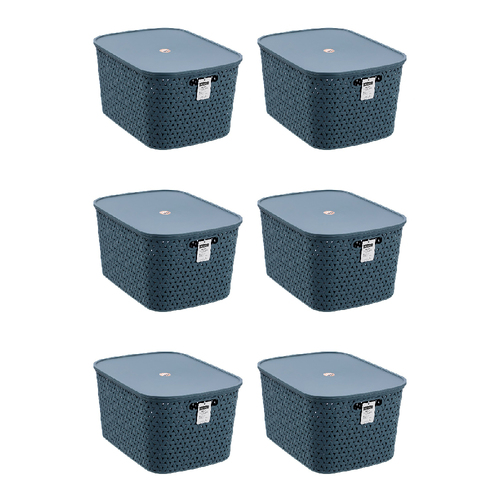 6PK Boxsweden Woven Rattan 26L/40cm Lidded Basket Storage - Assorted