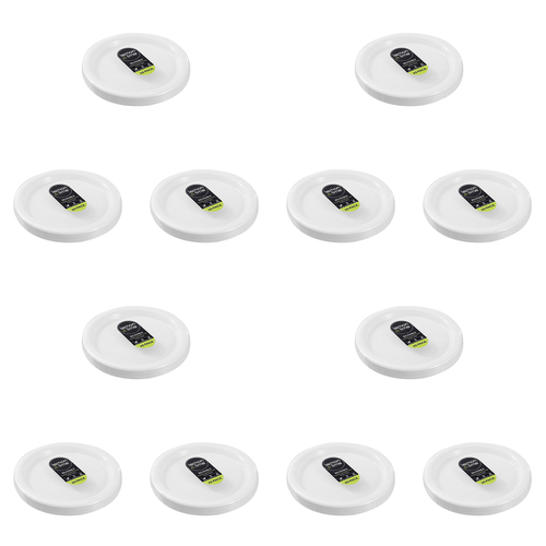 240pc Lemon & Lime Reusable Plastic Serving Plate Large 25.5cm - White