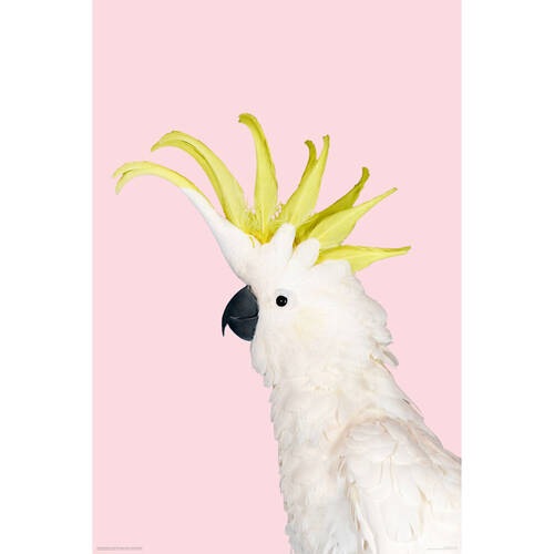 Impact Merch White Cockatoo On Pink
