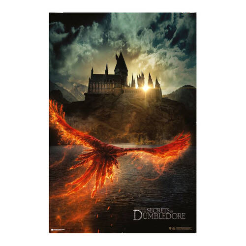 Fantastic Beasts The Secrets of Dumbledore Poster 91.5x60cm
