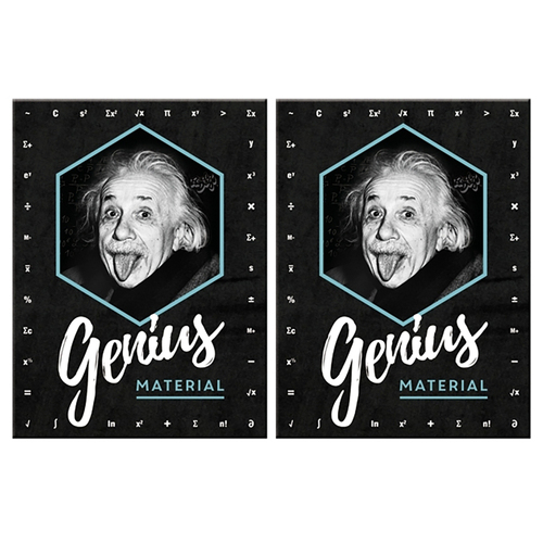 2PK Nostalgic Art Fridge Rectangle Magnet Einstein Genius 6x8cm