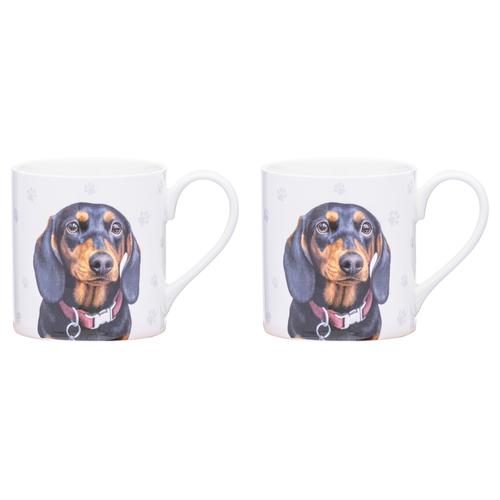 2PK Ashdene Paws & All 380ml Mug Coffee/Tea Cup - Dachshund