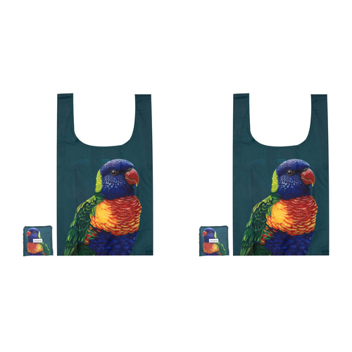 2PK Ashdene Plastic 64x36cm Modern Birds Rainbow Lorikeet Shopping Bag