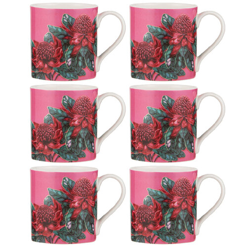 6PK Ashdene Native Flora Waratah Fine Bone China Drinking Cup Mug