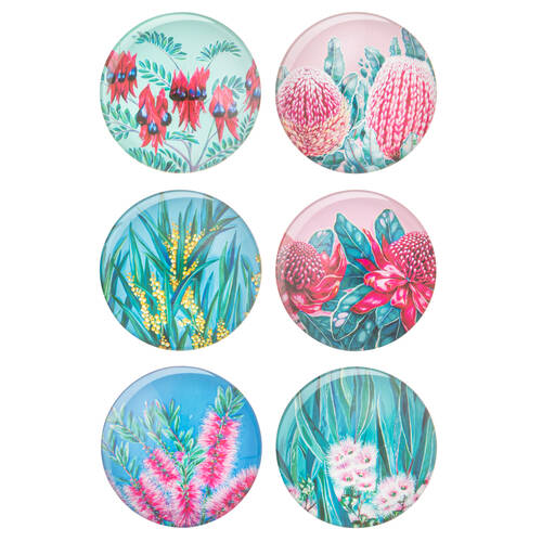 6pc Ashdene Native Flora Round Fridge Magnet Set 5cm Dia