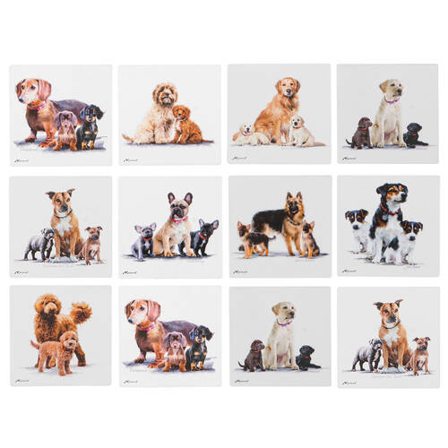 12PK Ashdene Puppy Love Ceramic Coaster Square 10x10cm - Assorted