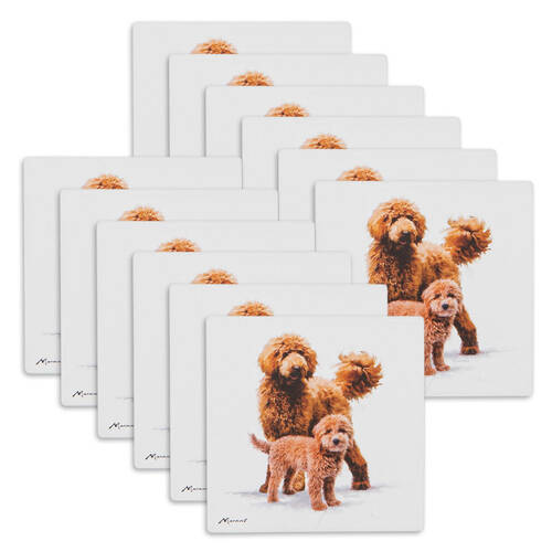 12PK Ashdene Puppy Love Groodle Ceramic Coaster Square 10x10cm