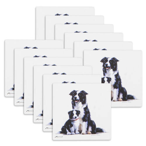 12PK Ashdene Puppy Love Border Collie Ceramic Coaster Square 10x10cm