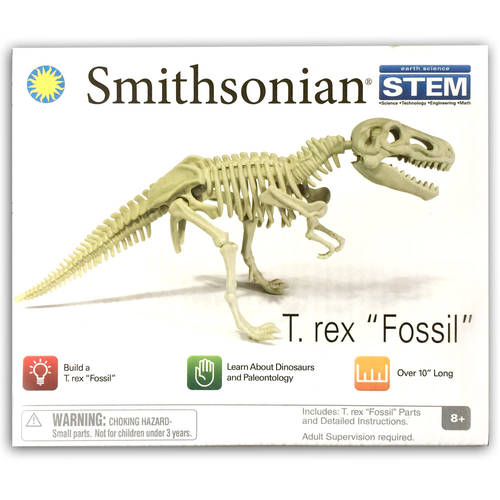 Smithsonian 25cm T Rex Fossil Skeleton Assembling Science Kit - Small