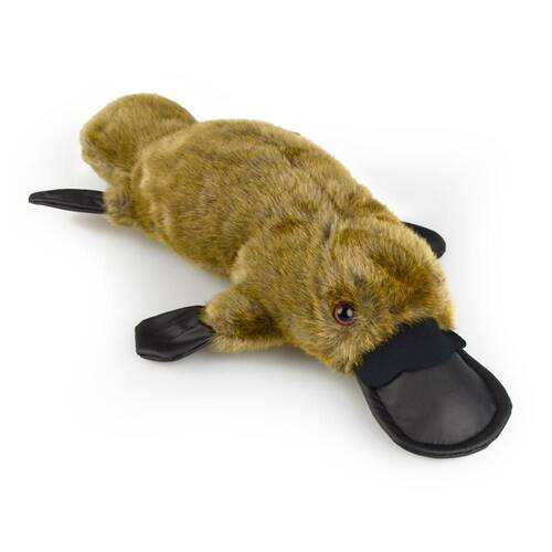 Platypus Am Ab73 Kids 37cm Soft Toy 3y+