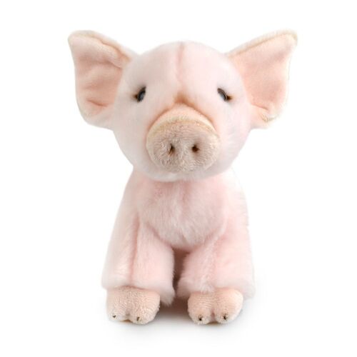 Pig (Lil Friends) Kids 18cm Soft Toy 3y+