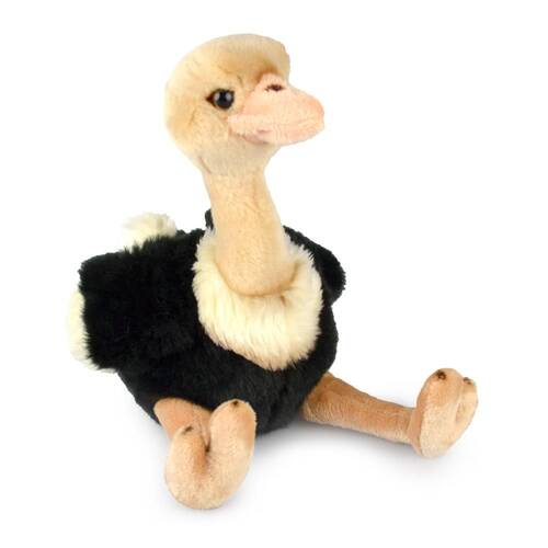 Ostrich (D) Kids 22cm Soft Toy 3y+