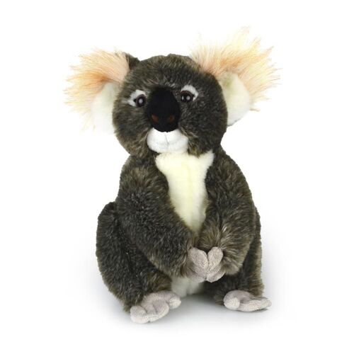 Koala Kimba Kids 30cm Soft Toy 3y+