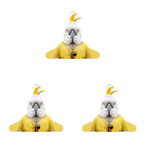 3PK Annabel Trends Zoo Portrait Coat Hanger/Hook - Cockatoo