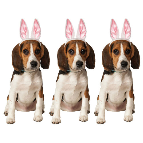 3PK Rubies Bunny Ears Pet Accessory Dog/Cat - Size M-L
