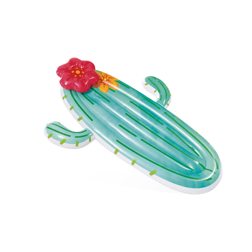 Intex Cactus Inflatable Outdoor Swimming Pool Float