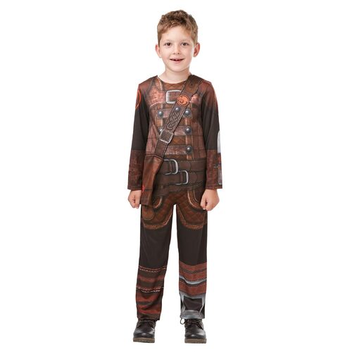 Rubies Hiccup Classic Boys Dress Up Costume - Size L