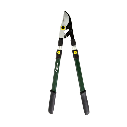 Cyclone Compound Telescopic Bypass Lopper Plant/Flowers Cutting/Gardening
