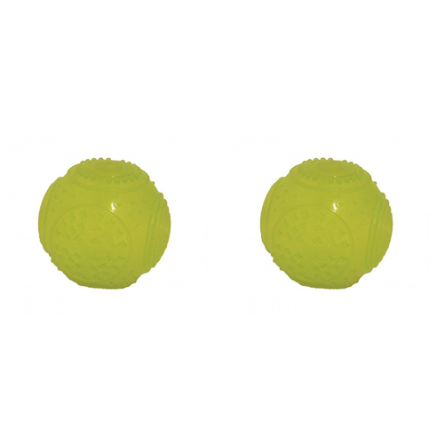 2PK Rosewood Round Glow in the Dark Ball Pet Dog Chew Interactive Fun Play Toy Green
