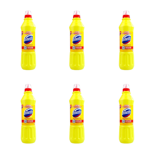 6PK Domestos Multipurpose Bleach Cleaner 750ml - Citrus Fresh