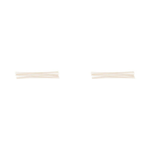 2x 10pc Blomus Spa Rattan Sticks Aromayherapy Diffuser Home/Room Fragrance Brown