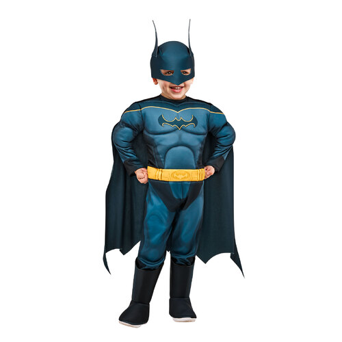 Dc Comics Batman Dc Super Pets Dress Up Costume - Size Toddler 1-2y