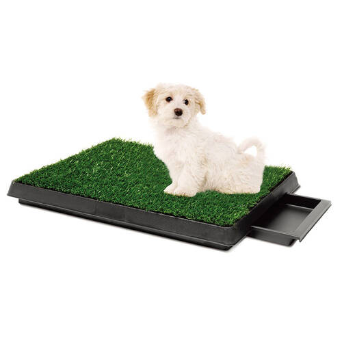 Paws & Claws Indoor Training Pet Potty Grass
