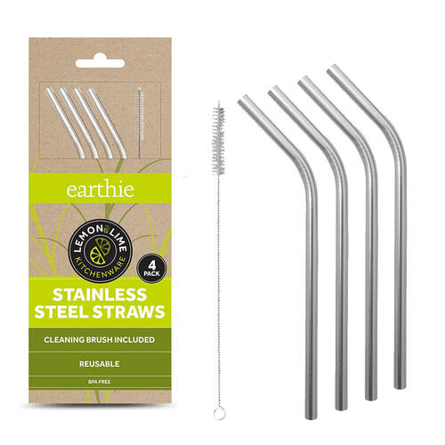 4PK Lemon & Lime Stainless Steel Straws